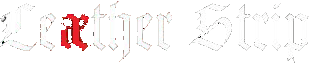 Leaether Strip